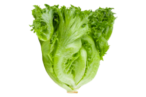 veg_4